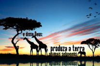 Produza a Terra!