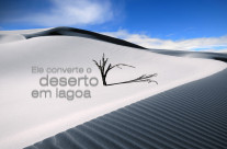 Deserto?!