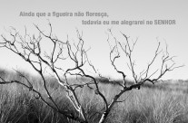 Alegre-se!