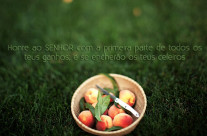 Honre!