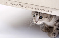 Em Toda Parte