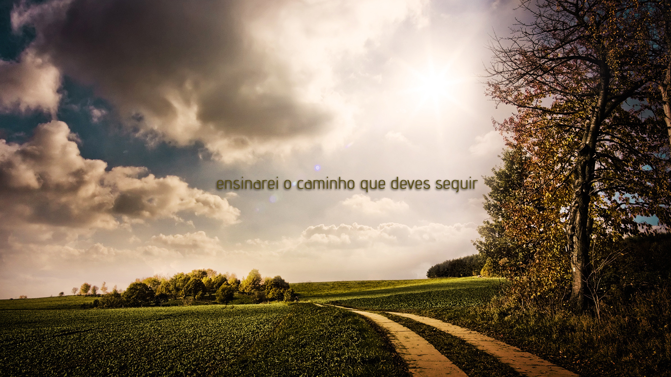 wallpaper ensinar caminho seguir_1366x768