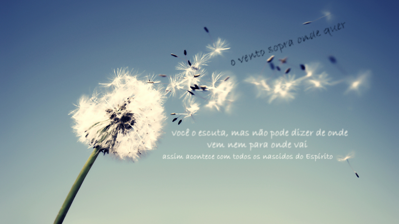 wallpaper cristao vento sopra onde quer_1366x768